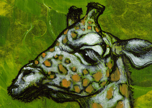 giraffe detail
