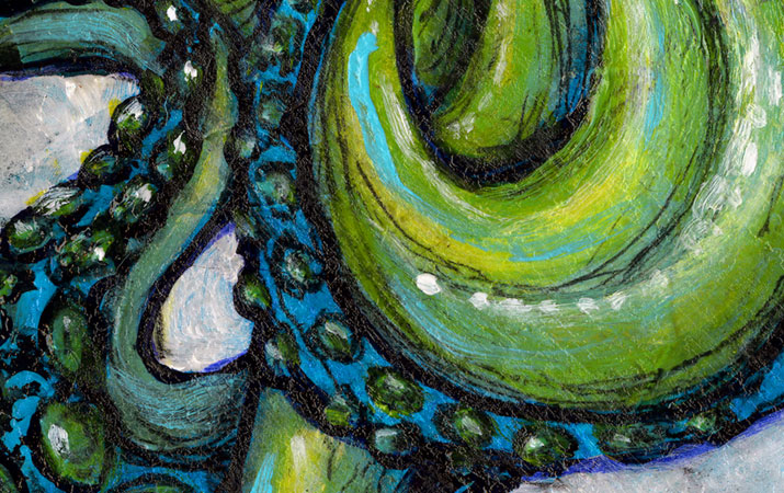 octopus detail