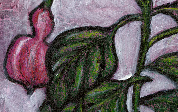 fuscia detail