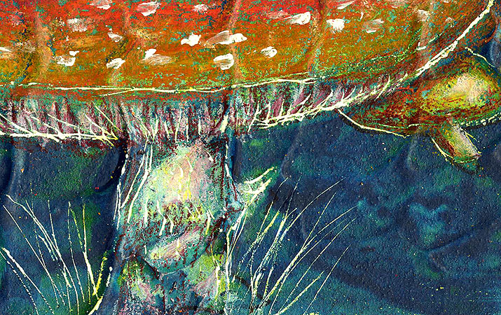 mushrooms detail