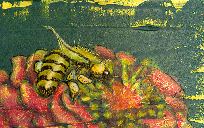 bee on flower detail