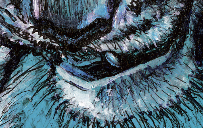 snow leopard detail