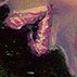 succubus pink thumb